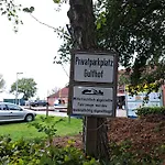 Gulfhofperle